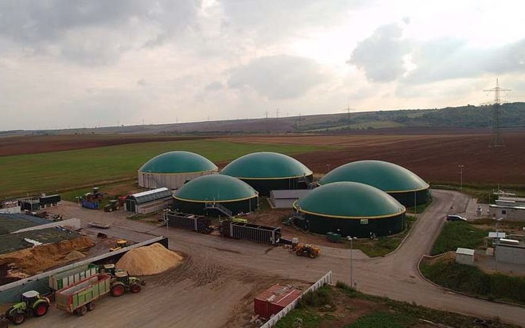 Biogasanlage, Erdeborn